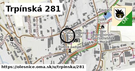 Trpínská 281, Olešnice