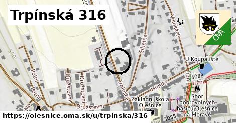 Trpínská 316, Olešnice
