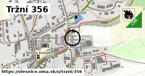 Tržní 356, Olešnice