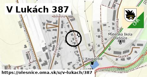 V Lukách 387, Olešnice