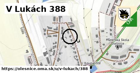 V Lukách 388, Olešnice