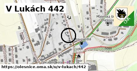 V Lukách 442, Olešnice