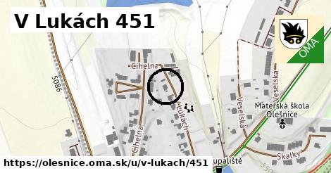 V Lukách 451, Olešnice