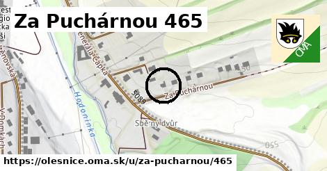 Za Puchárnou 465, Olešnice