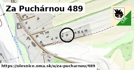 Za Puchárnou 489, Olešnice