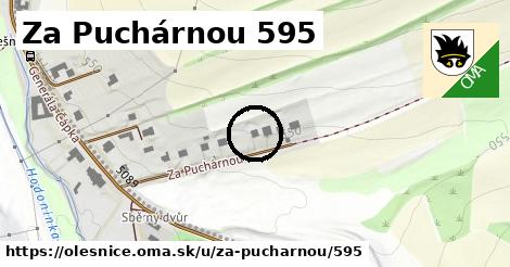 Za Puchárnou 595, Olešnice