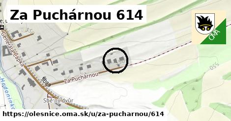 Za Puchárnou 614, Olešnice