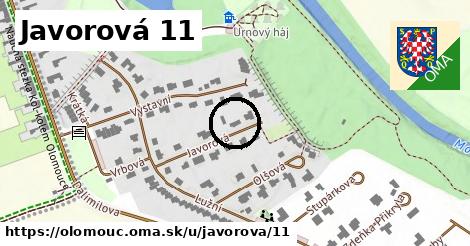 Javorová 11, Olomouc