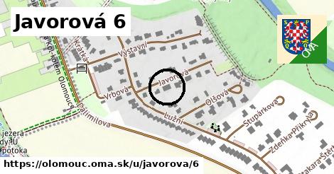 Javorová 6, Olomouc