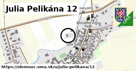 Julia Pelikána 12, Olomouc