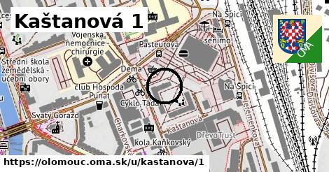 Kaštanová 1, Olomouc