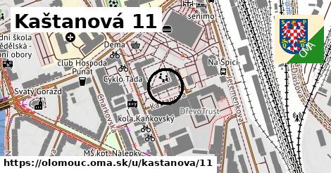 Kaštanová 11, Olomouc