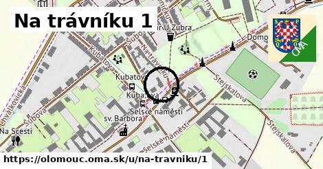 Na trávníku 1, Olomouc