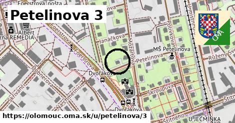 Petelinova 3, Olomouc