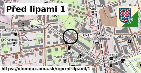 Před lipami 1, Olomouc