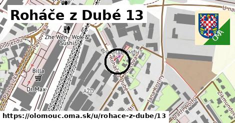 Roháče z Dubé 13, Olomouc