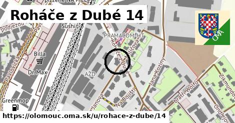 Roháče z Dubé 14, Olomouc