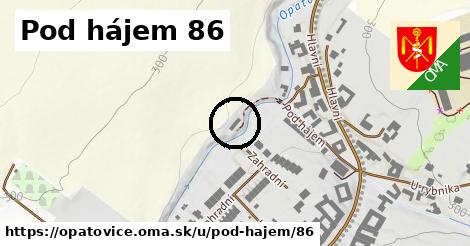 Pod hájem 86, Opatovice