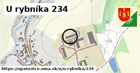 U rybníka 234, Opatovice