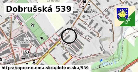 Dobrušská 539, Opočno