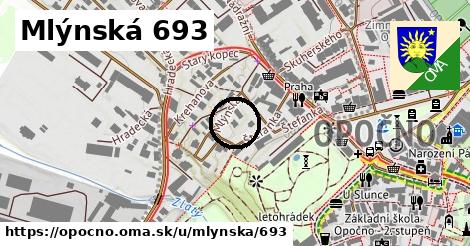 Mlýnská 693, Opočno