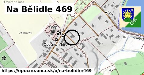 Na Bělidle 469, Opočno