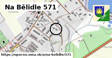 Na Bělidle 571, Opočno