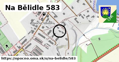 Na Bělidle 583, Opočno