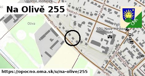 Na Olivě 255, Opočno