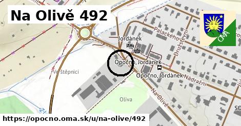 Na Olivě 492, Opočno