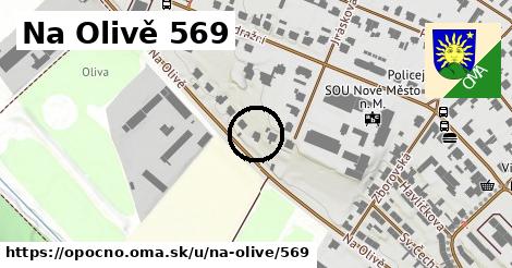 Na Olivě 569, Opočno