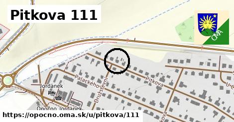 Pitkova 111, Opočno