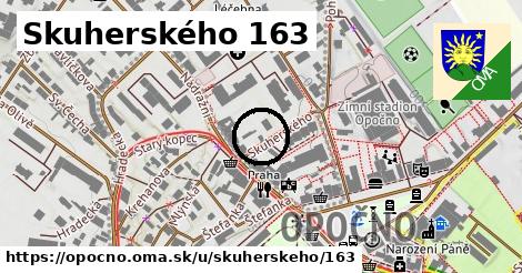 Skuherského 163, Opočno