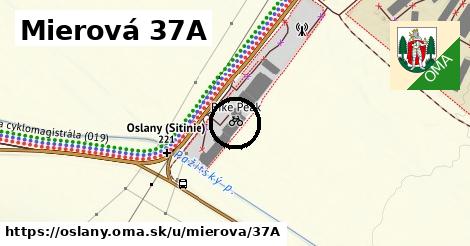 Mierová 37A, Oslany