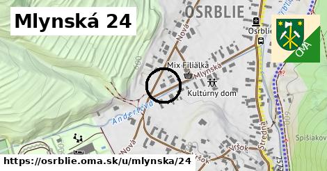 Mlynská 24, Osrblie