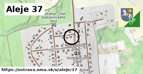 Aleje 37, Ostrava