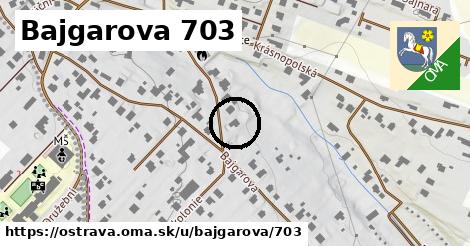 Bajgarova 703, Ostrava