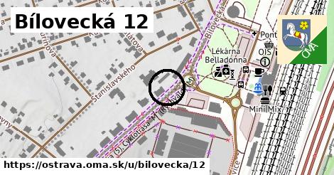 Bílovecká 12, Ostrava