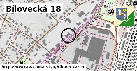 Bílovecká 18, Ostrava