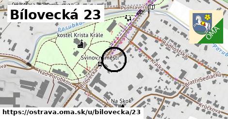 Bílovecká 23, Ostrava