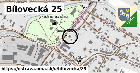 Bílovecká 25, Ostrava