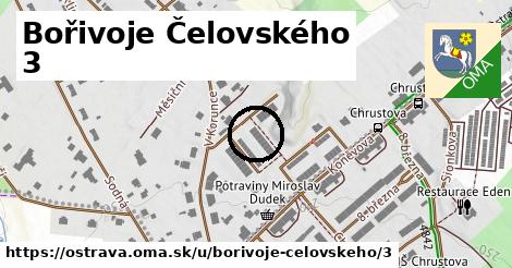 Bořivoje Čelovského 3, Ostrava