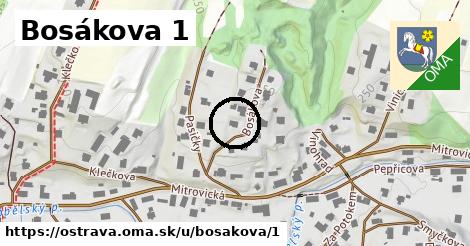 Bosákova 1, Ostrava