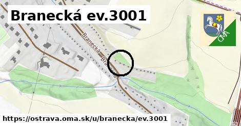 Branecká ev.3001, Ostrava