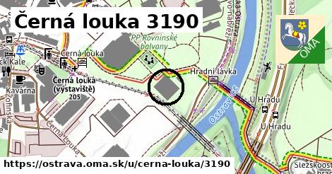 Černá louka 3190, Ostrava