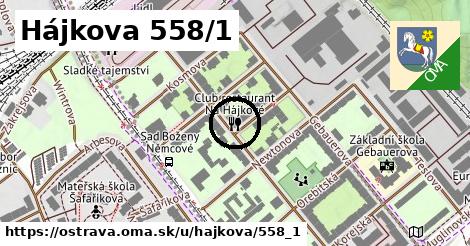 Hájkova 558/1, Ostrava