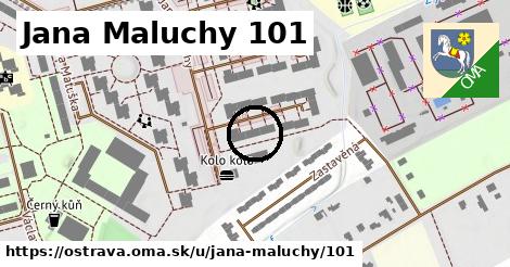 Jana Maluchy 101, Ostrava