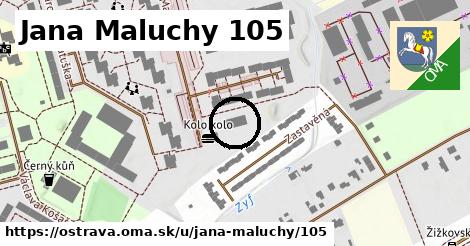 Jana Maluchy 105, Ostrava