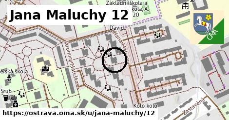 Jana Maluchy 12, Ostrava