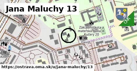 Jana Maluchy 13, Ostrava